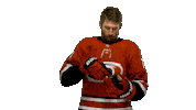 Jaccob Slavin Yes Sticker by Carolina Hurricanes