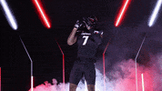 University Of Cincinnati Clap GIF by Cincinnati Bearcats