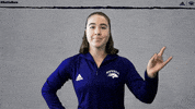 NevadaWolfPack swim dive wolfpack nevada GIF