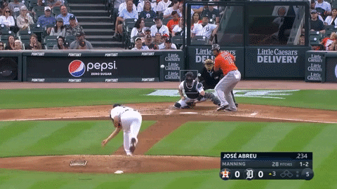 krahn23 giphygifmaker error tigers zack short GIF