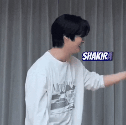 Stray Kids Skz GIF