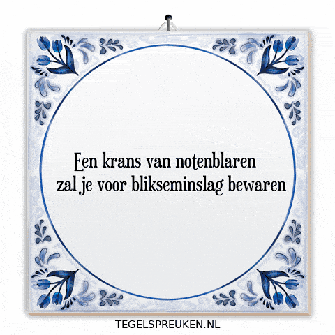 Humor Nl GIF by Tegelspreuken.nl