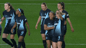 Womens Soccer Hug GIF by National Women's Soccer League