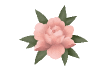 Rose Petals Blooming Flower Sticker