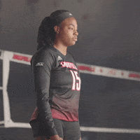 Volleyball Aiko GIF by Louisville Cardinals