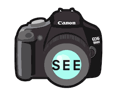 Flash Flashing Sticker by See Management