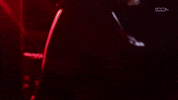Luna Vachon Wrestling GIF by DARK SIDE OF THE RING