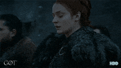 sansa stark hbo GIF by Game of Thrones