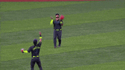 Major League Baseball Running GIF by MLB