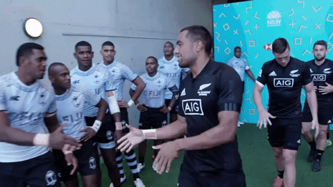 respect hand shakes GIF by World Rugby