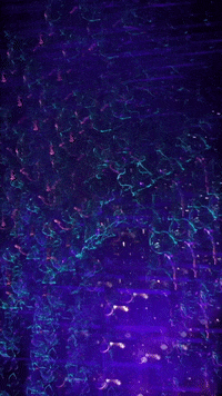 Black Light Snap GIF by Mollie_serena