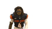 Cnfb Sticker by Carson-Newman Athletics
