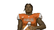 Nfl Preseason Sticker by Carson-Newman Athletics