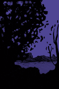 candiceevers nature night bird calm GIF
