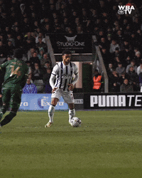 West Brom Football GIF by West Bromwich Albion