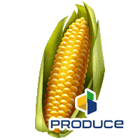 PRODUCE produce consultor Sticker