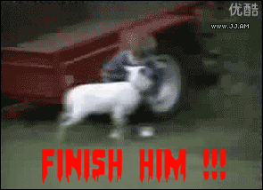 Video gif. A white baby goat headbutts a toddler in the hip, causing him to stumble, then headbutts him again in the face and knocks him over. In reference to Mortal Kombat, we see bloody red text at the bottom of frame that says "Finish him!!!"