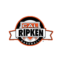 Cal Ripken Baseball Sticker by Ozball