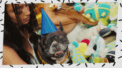 its my dog birthday GIF by T-Pain