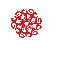 cintiabarrosestudiodedanca danca do ventre dança árabe folclore arabe cintia barros Sticker