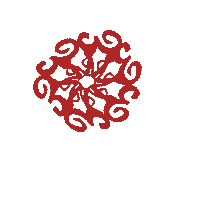 Danca Do Ventre Sticker by Cintia Barros Estudio de Dança