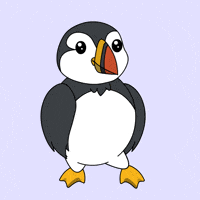 puffinsdotfun happy dance fun party GIF