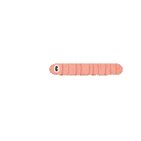 ceritatomat animals animal worm organic Sticker