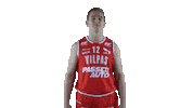 Basket_fi sports basketball hoops vikings Sticker