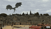 gameofthrones hbo game of thrones GIF