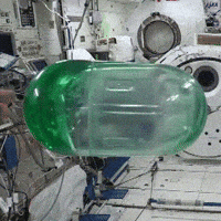 space station GIF by NASA
