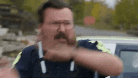 Blu-Ray Netflix GIF by StittsvilleOnPatrol