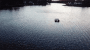 michigan GIF