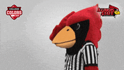 College Sports Mascots GIF by College Colors Day