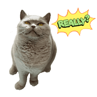 The Look What Sticker
