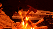 Fire Burn GIF by Four Rest Films