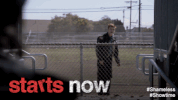 GIF by Showtime