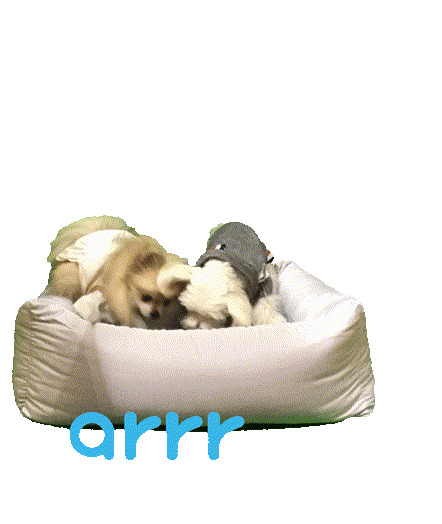 아르르 Sticker by arrr_official