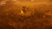 Series 12 GIF by Doctor Who