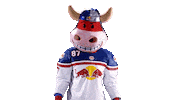 Rob Ice Hockey Sticker by EC Red Bull Salzburg