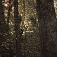 Uğur Güneş GIF by TRT