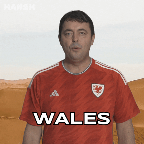 Football Soccer GIF by Hansh