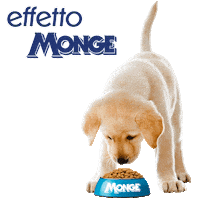 Mongepet sweet cane monge cagnolino Sticker