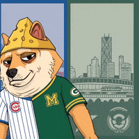 Green Bay Packers Nfl GIF by Doge Pound