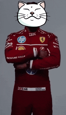 Race GIF by ShiroNeko