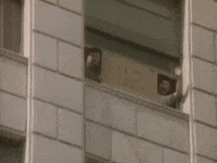 Grammy Awards 80S GIF by Recording Academy / GRAMMYs