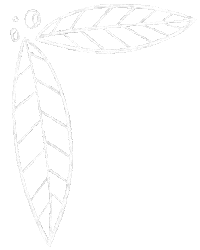 Hand Drawing Leave Sticker