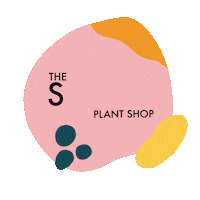 Shop Plant Sticker by thesuccaplantshop