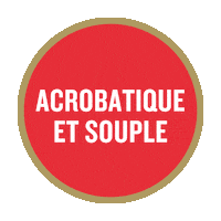 Vin Festif Sticker by La SAQ