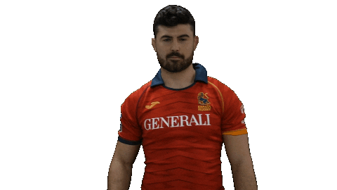 Fer Leones Sticker by FERugby