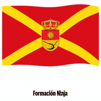 La Victoria Bandera GIF by Formación Ninja